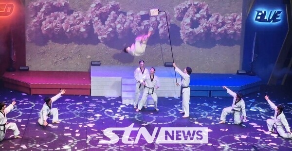 태권도원 태권도 공연 무대 장면